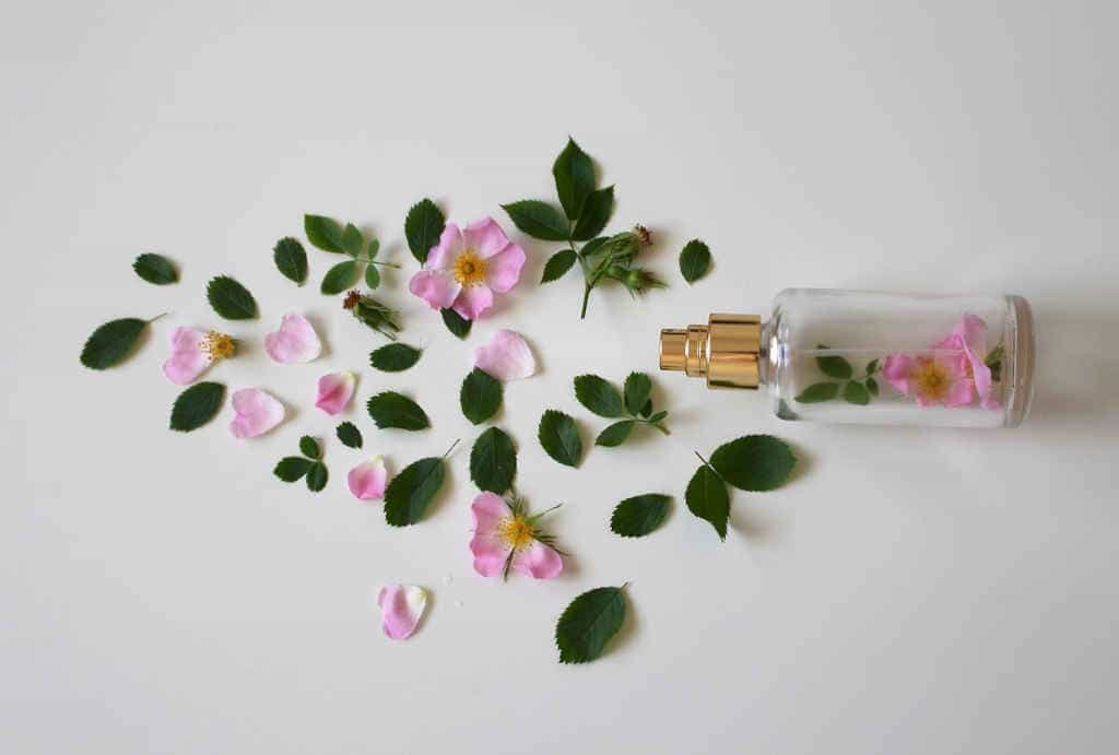 Ingredientes más comunes de imitaciones de perfumes de buena calidad